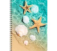 Alpha Edition Agenda Settimanale Ladytimer Spiralata 2024, 15x21 cm, BEACH, 128 pagine