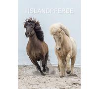 Alpha Edition - Calendario 2022 da muro Cavalli islandesi, 12 mesi, 29,7x42 cm