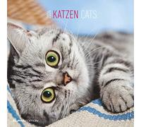 Alpha Edition Calendario 2024 da muro GATTI, 12 mesi, 30x30 cm