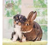 Alpha Edition - Calendario 2025 da muro Animal Frienship, 12 mesi, 30x30 cm