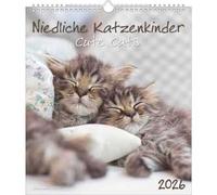 Cute cats calendario 2026 30x34 cm - AA.VV.