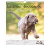 ALPHA EDITION - Calendario 2026 da muro, 12 mesi, 30x34 cm, Dinky Dogs