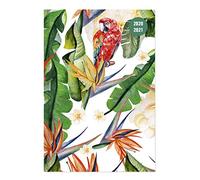 Alpha Edition Diario Agenda Scuola Collegetimer 2020/2021, Settimanale, Formato 15x21 cm, Sogno Tropicale, 224 pagine