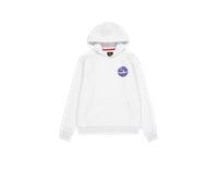 Alpha Industries Backprint Logo Hoodie Taglia 3XL - Grigio