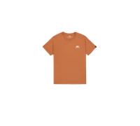 Alpha Industries Basic Small Logo T-Shirt Magliette Taglia L - Marrone