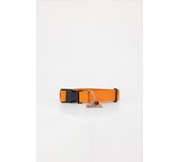 Alpha Industries Collare per cani Basic Dog Tag Collar Alpha Orange