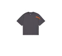 Alpha Industries Flock Logo T-Shirt Magliette Taglia S - Grigio