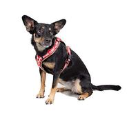 Alpha Industries Pettorina per cani Dog RBF Harness Dark Olive