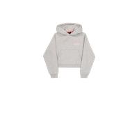 Alpha Industries Riot Hoodie Taglia L - Grigio