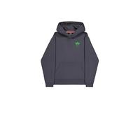 Alpha Industries Spray Print Hoodie da Uomo Vintage Grey S