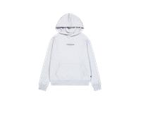 Alpha Industries Studio Edition Backprint Hoodie Taglia L - Grigio