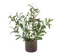 AlphaAcc Rami di ulivo artificiali da 45,7 cm, pianta in vaso dall'aspetto reale con foglie e frutti realistici in vaso rustico nero in cemento, pianta finta per interni ed esterni