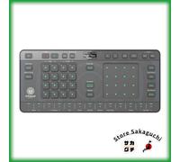 AlphaTheta Chordcat 8-Track Groovebox - AI-Powered Chord Cruiser Mode Portatile