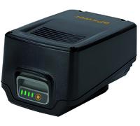 Alpina BATTERIA E24 20 V - 4,0 Ah