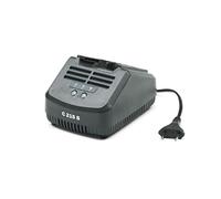 Alpina Caricabatteria standard per batterie Alpina agli ioni di litio da 20 V, Corrente di Carica 2 Ah, Alloggiamento di Carica per una Batteria, Velocità di Ricarica standard, Spina Europlug