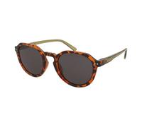 Alpina Sneek 2.0 Havana-Green Gloss/Black