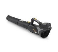 SOFFIATORE ALPINA 20V ABL 20 LI KIT