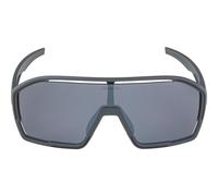 Alpina Sports Bonifire Sunglasses cat. 3 Grey A8687321