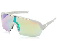 ALPINA Turbo HR Occhiali da, Grigio (Smoke-Grey Matt), Taglia Unica Unisex-Adulto