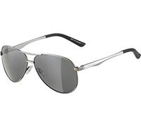 ALPINA Unisex - Adulti, A 107 Occhiali da sole, titanium matt, One Size