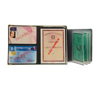 ALPLAST - 1060S - Portadocumenti - multicard special - PVC - colori assortiti 1060S - Alplast - conf. 24 pezzi - 94723 - Conf. da 1 Pz. - 1060S