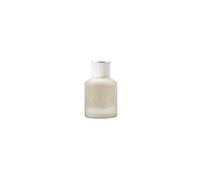 Alps Wild Horse EDP 100 ml