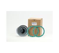 Alsaziano EIT-1372-27468 Filtro, Tecnologia ad Aria Compressa/Luftentölelement