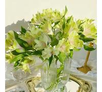 Alstroemeria di giardino primi riverdimento estremamente resistente di tetti semi interni esotici balcone 400pcs