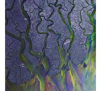 Alt-J (A) - An Awesome Wave