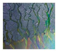 alt-J An Awesome Wave (CD) Album