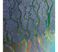 Alt-J – Awesome Wave