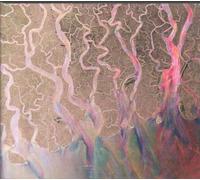 Alt-J - Awesome Wave: Limited Edition