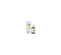 ALTA NATURA Essentia Olio Essenziale - Rosmarino, 10ml