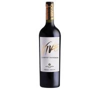 Alta Vista Vive Luján de Cuyo Cabernet Sauvignon IG 2023 0,75 ℓ