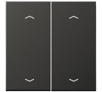 Altalena Jung AL2995MPAN - per pulsante BA, 2 scomparti, tappo chiave, antrac...