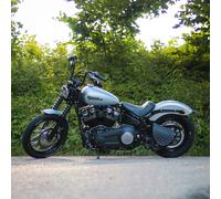 Altalena Sacchetto Diablo Argento Edizione Adatto A per Harley Davidson Softail