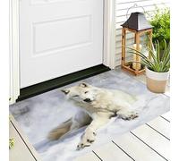 ALTCIRNMD Tappeto D'Ingresso Bianco Lupo Bianco Delle Nevi 3D Dipinto Ad Olio Di Animali Zerbino Antiscivolo 50X80Cm Elegante Tappetino Per Giardino Porta Anteriore E Posteriore Corridoio
