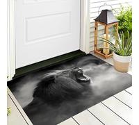 ALTCIRNMD Zerbino Di Benvenuto 40X60Cm Grigio-Nero Leone Della Nebbia Antiscivolo Morbido E Accogliente,Animali Fantastici Per Esterni Interni Ingresso Patio Porte Anteriori E Posteriori