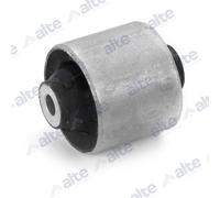 ALTE AUTOMOTIVE Supporto Braccio Oscillante Assale per Audi A4 8EC B7 Exeo Pezzi