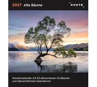 Alte Bäume - KUNTH Postkartenkalender 2027: Hochwertiger Tischkalender mit 53 traumhaften Grußkarten (auch zum Aufhängen)