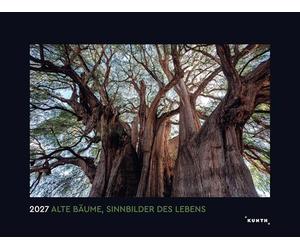 Alte Bäume, Sinnbilder des Lebens - KUNTH Wandkalender 2027: Hochwertiger, bildstarker Kalender mit Spiralbindung im Großformat