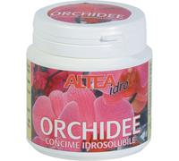 Altea Concime idrosolubile altea per orchidee 100gr