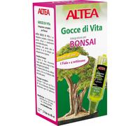 Altea Gocce di vita bonsai