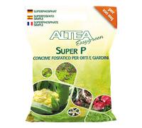 Altea Super P Il Concime Per Le Semine E Per Aglio, Cipolle, Cavoli… 5kg