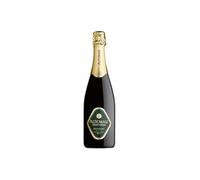 Altemasi Spumante Trento DOC Brut Millesimato 2021, 12,5% vol, 750 ml