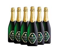 ALTEMASI TRENTODOC BRUT MILLESIMATO [ 6 Bottiglie x 750mℓ ] (2019)