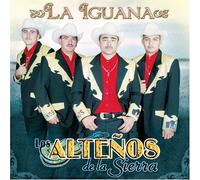 Altenos De La Sierra - Iguana