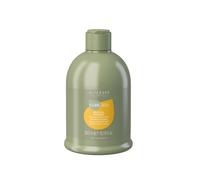 Alter Ego Silk Oil Shampoo Effetto Seta Anti Crespo Capelli 300/950ml