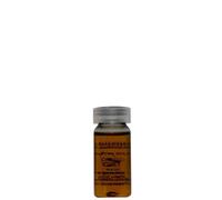 ALTEREGO CureEgo Silk Oil Trattamento Condizionante Intensivo Fiale 12x10ml