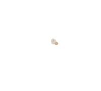 Alterna Sac Ch Op Maxi 40Mm 30 30 pz Bustina